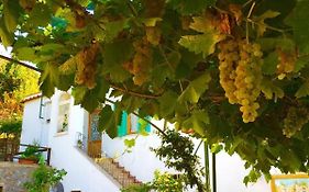 B&B Il Grappolo